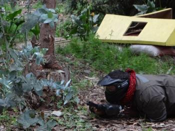 Wombat Paintball en Isla De Maipo, Metropolitana